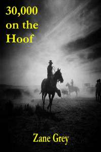 30,000 on the Hoof [ePUB]